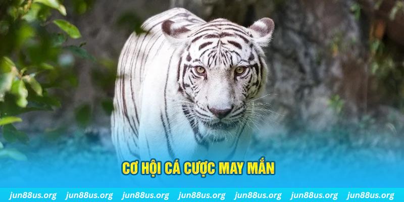 i9bet100 hết slot la gì