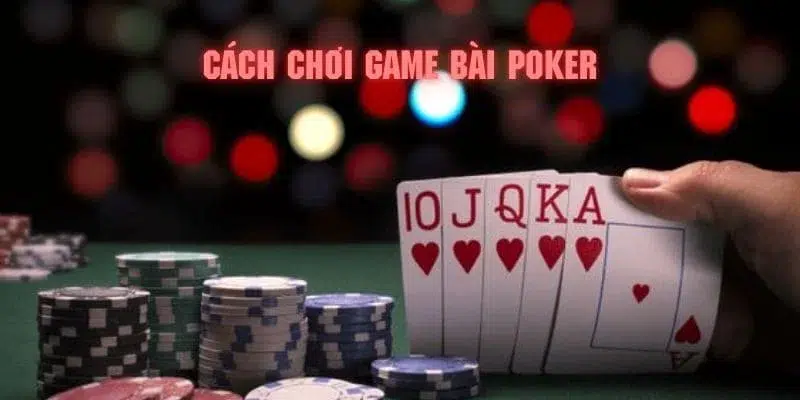 i9bet100 Anda bạn quán ba hal