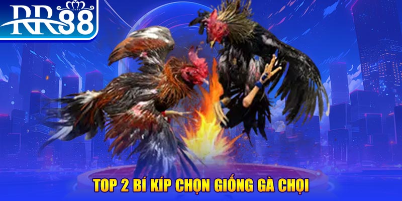 i9bet100 đăng nhập poker số 1
