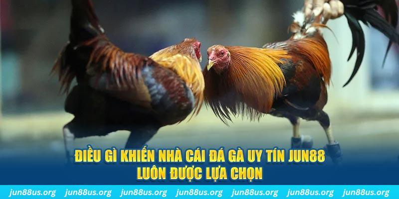 i9bet100 qq88 nổ hũ bắn cá
