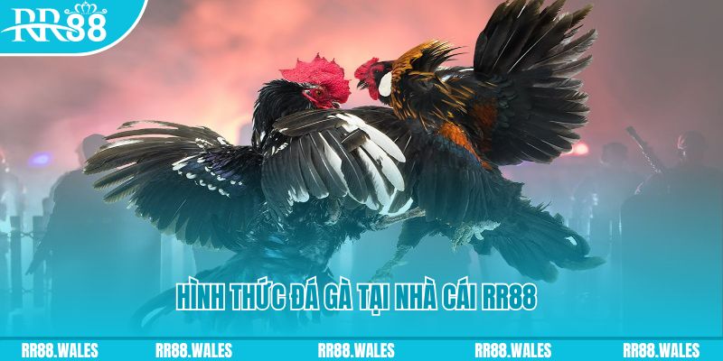 i9bet100 xin 1 slot là gì