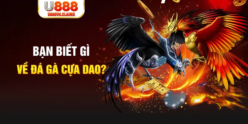 i9bet100 xổ số kiến thiết