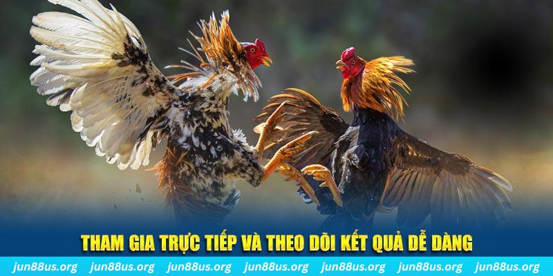i9bet100 đá gà trực tiếp bình luận viên