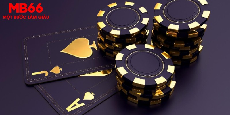 i9bet100 đá gà thomo hôm nay