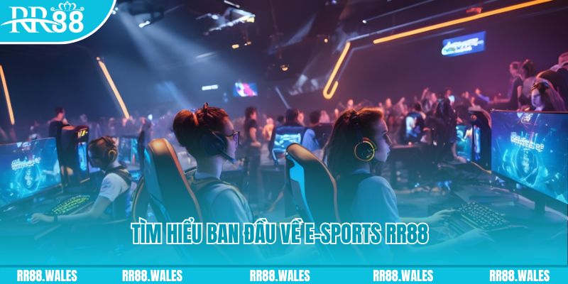 i9bet100 Đĩa màu ace