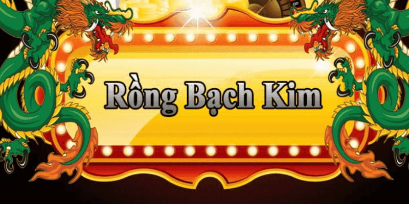 i9bet100 đăng nhập roulette 2025