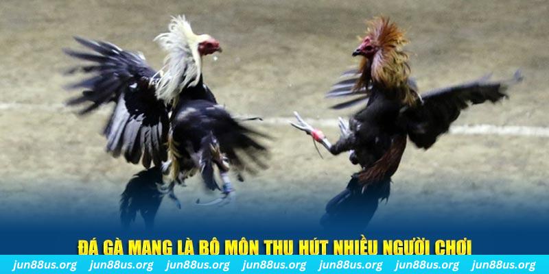 i9bet100 xổ số cà mau