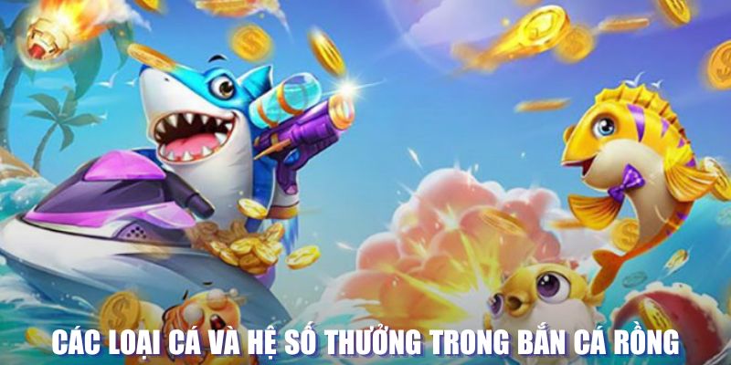 i9bet100 loi game dot kich ket noi may chu that bai