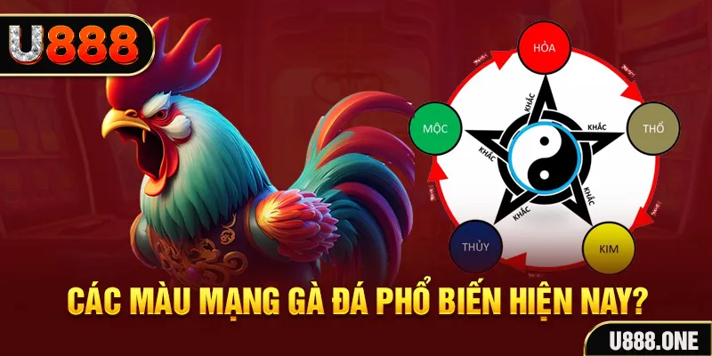 i9bet100 đăng nhập mậu binh