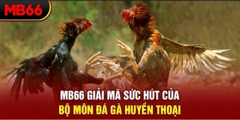 i9bet100 Phi Đội Ưu Tú