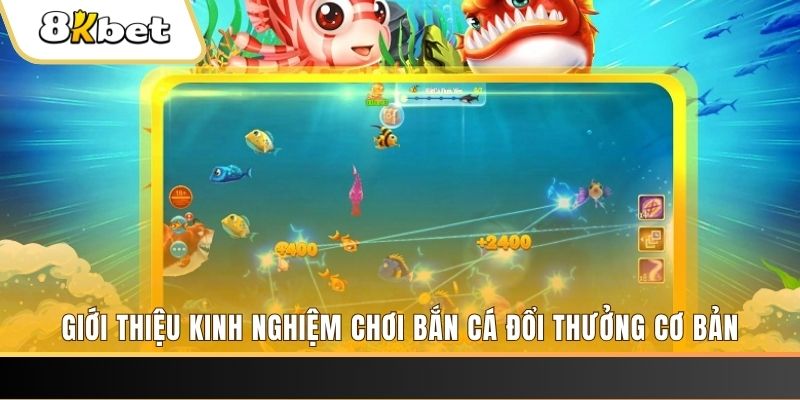 xổ số miền bắc thứ năm hàng tuần