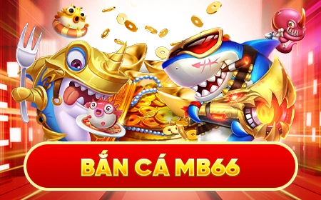 i9bet100 đá gà trực tiếp 67