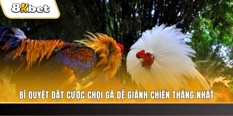 i9bet100 Tài Xỉu 2