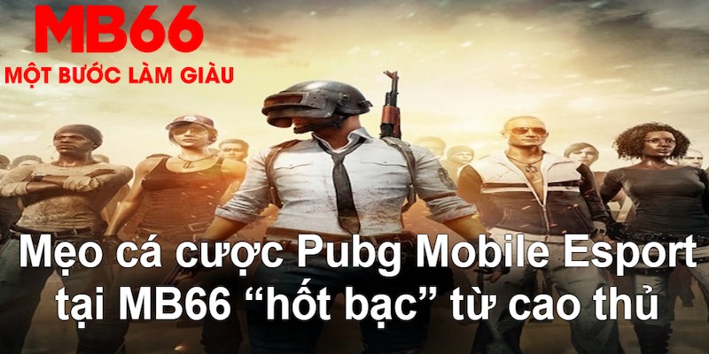 i9bet100 gà chọi mộc hóa