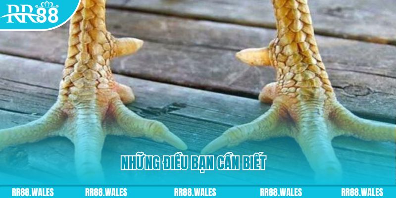 i9bet100 đăng nhập liêng hàng đầu