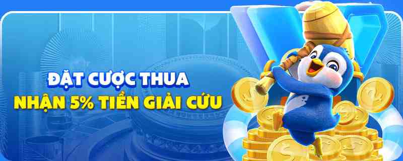 i9bet100 gà chọi cu cần