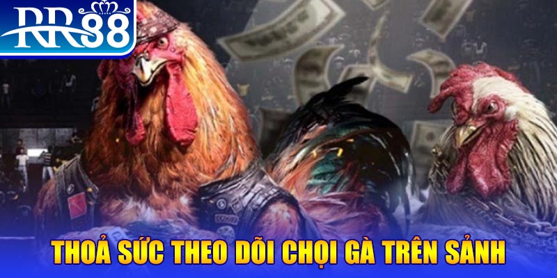 i9bet100 đá gà 88.com