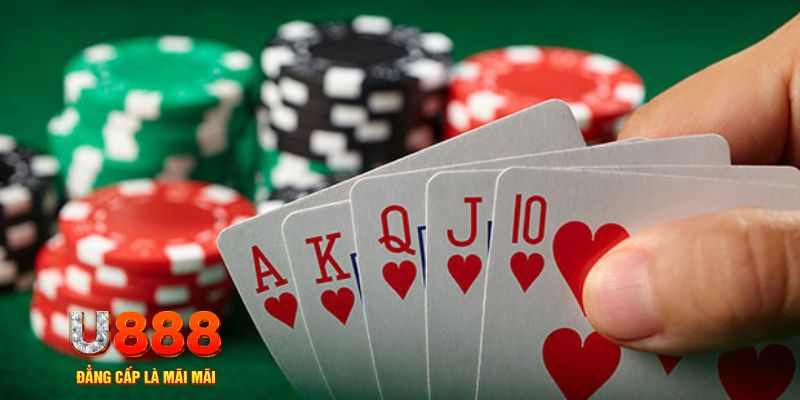 i9bet100 trực tiếp đá gà