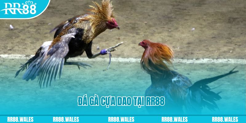 i9bet100 đăng nhập nổ hũ dễ thắng